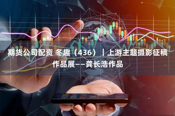 期货公司配资 冬趣（436）｜上游主题摄影征稿作品展——龚长浩作品